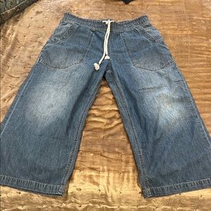 We The Free Blue Denim Pants